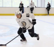 NHL এর ভবিষ্যত উন্মোচন করা: নতুন NHL EDGE ডেটার মাধ্যমে শীর্ষ রুকিদের উপর গভীর দৃষ্টিভঙ্গি