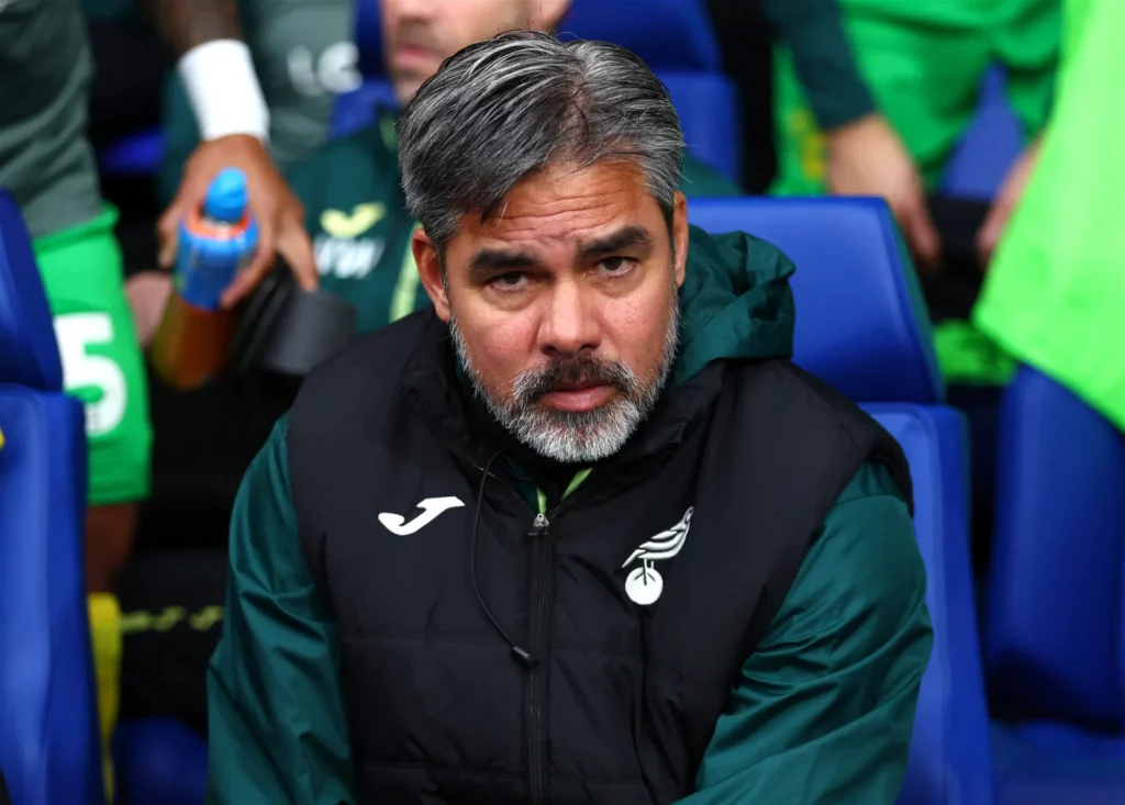 Norwich Dismisses David Wagner Following Playoff Defeat by Leeds