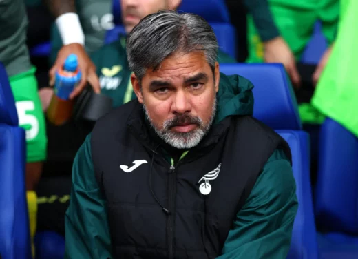 Norwich Dismisses David Wagner Following Playoff Defeat by Leeds